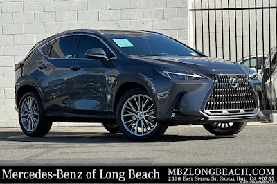 2025 Lexus NX