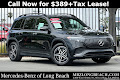 2024 Mercedes-Benz EQB 250+
