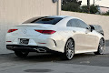 2019 Mercedes-Benz CLS CLS 450