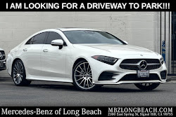 2019 Mercedes-Benz CLS CLS 450